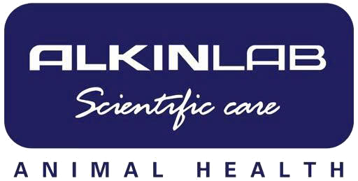 Alkin.webweb.com.vn